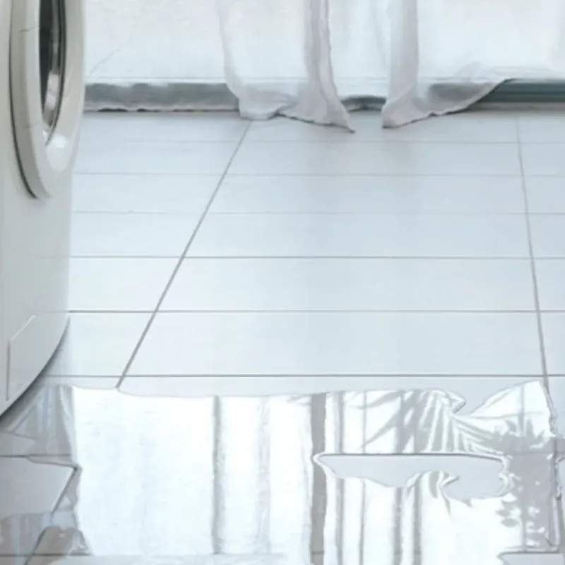Appliance Leak Cleanup in Clark County, KY