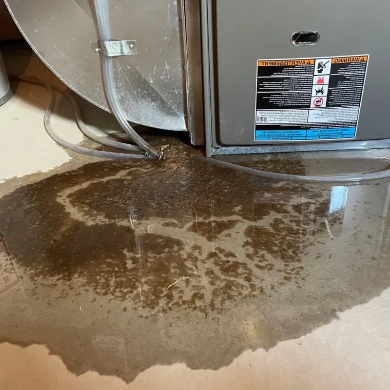 Pipe Burst and Leak Restoration in Clark County, KY
