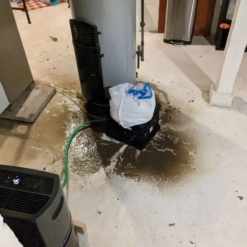 Sewage Backup Cleanup Service in Clark County, KY